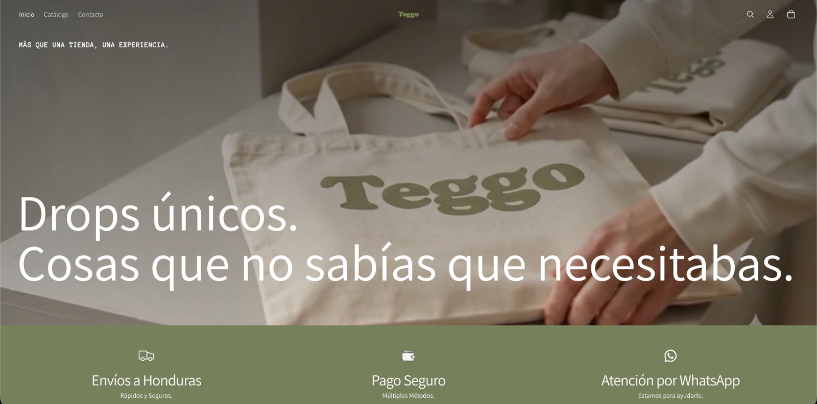 Captura de la tienda en línea TEGGO